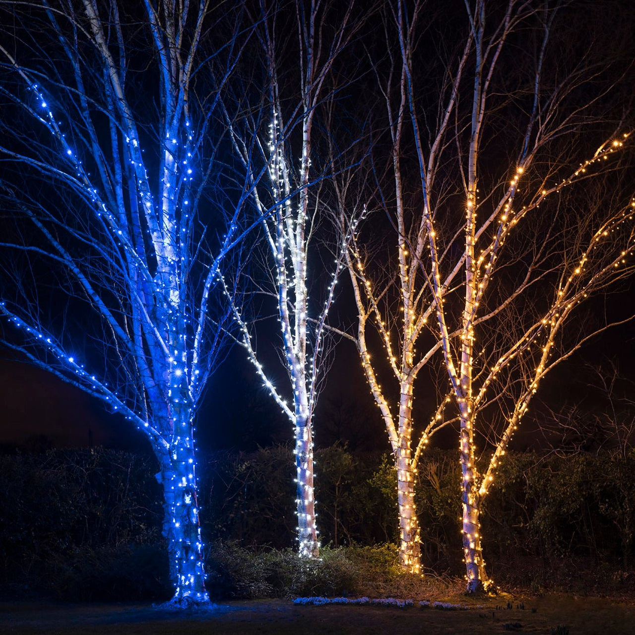 PR50BB_Blue-LED-String-Lights-Outdoor-Garden-Tree-Group_310eef8f-b580-4657-bb85-5530e3424b89.jpg