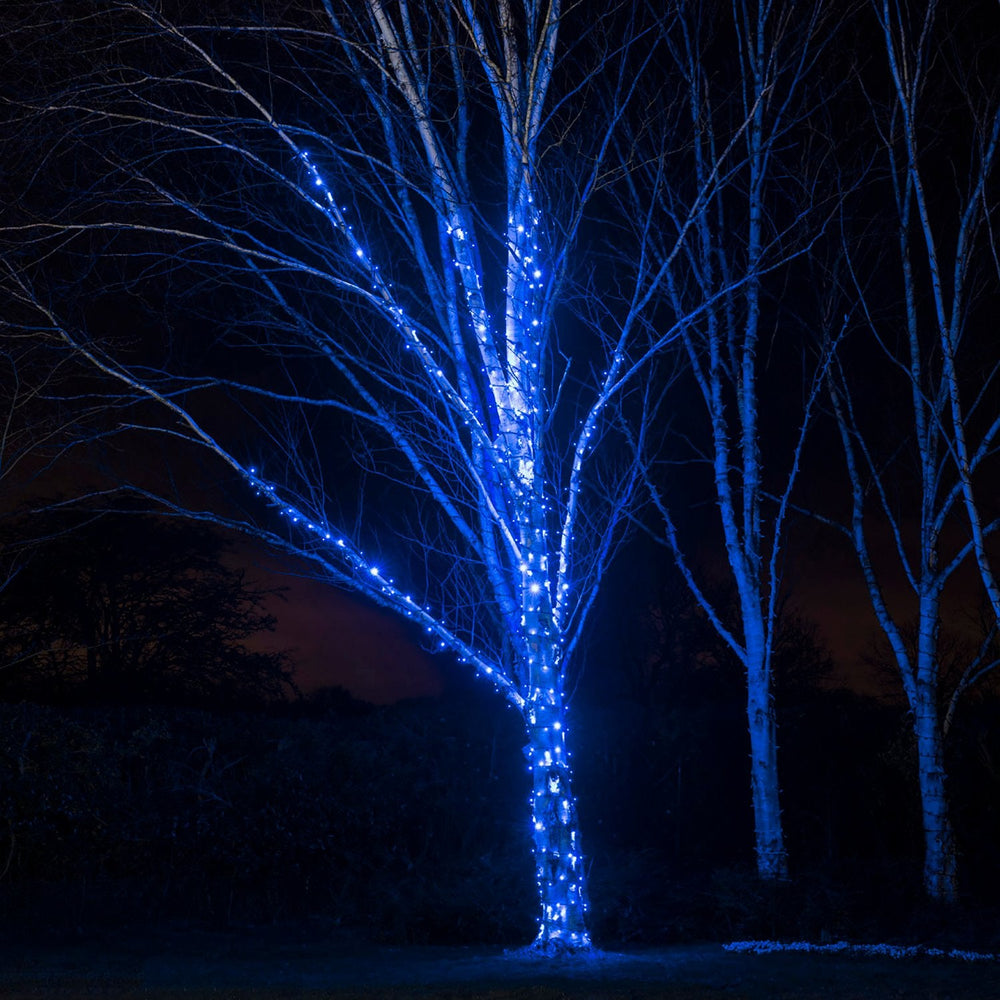 PR50BB_Blue-LED-String-Lights-Outdoor-Garden-Tree_019ab54d-dde4-4c0a-852a-08dad74b863c.jpg