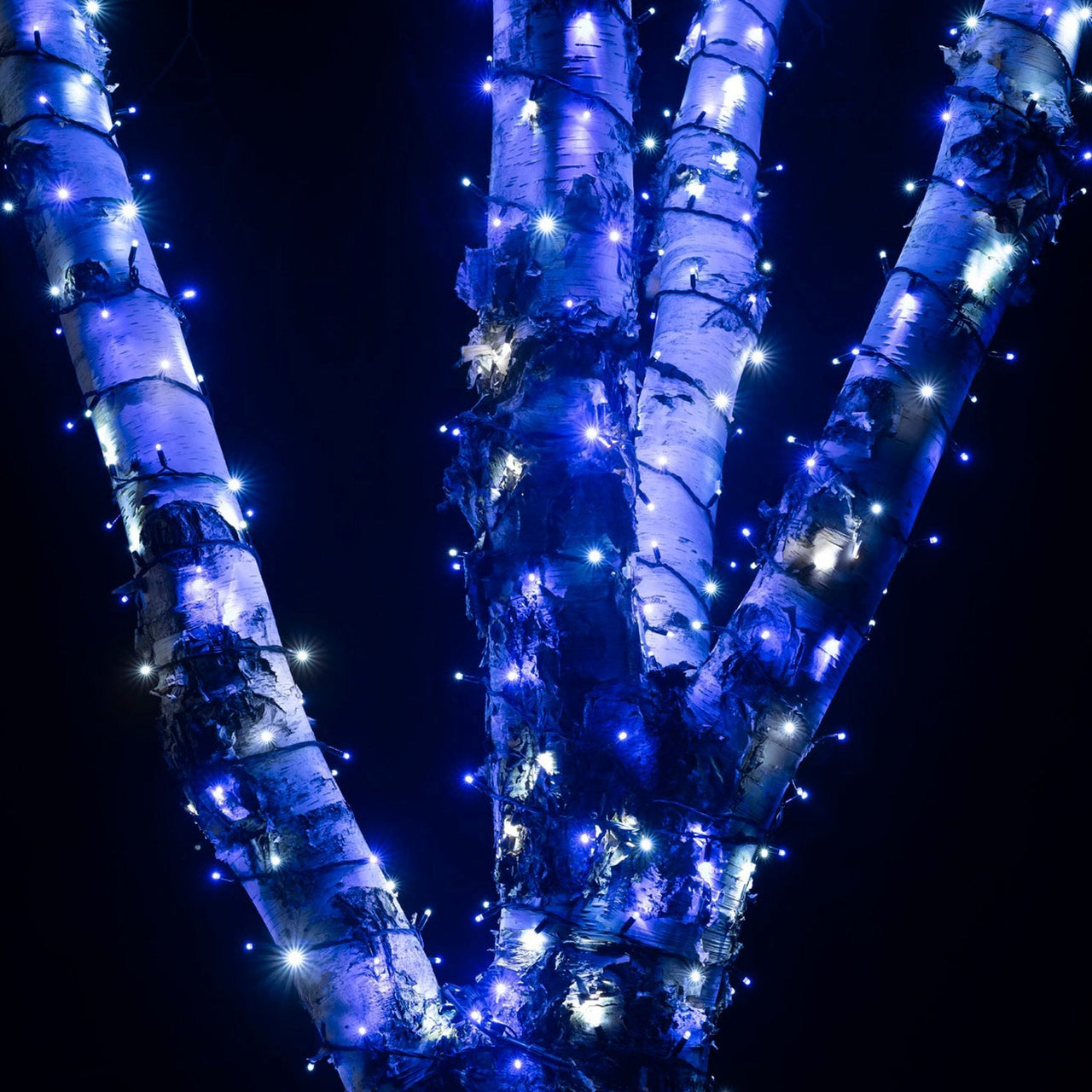 PR50BWB_Blue-and-White-Christmas-Lights-String-Outdoor-Tree-Close_f35c8747-abc0-4ad3-b13f-b96b9f90853e.jpg