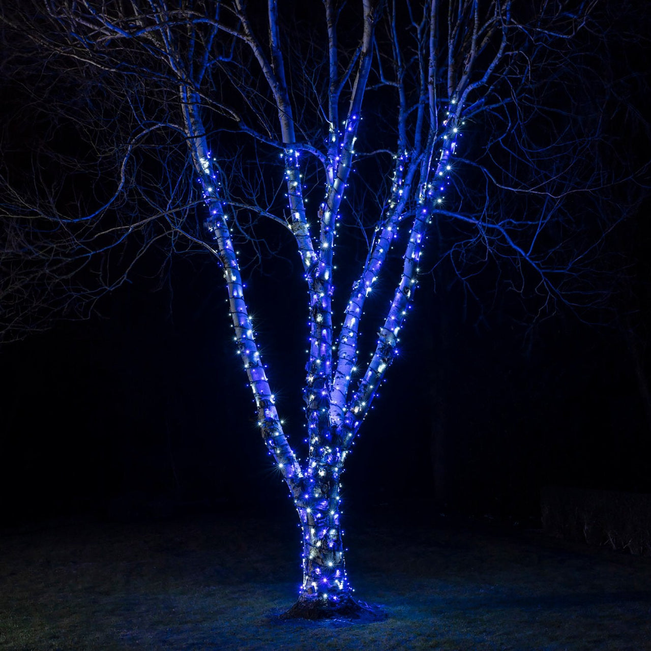 PR50BWB_Blue-and-White-Christmas-Lights-String-Outdoor-Tree_01ba6997-1896-476d-9f65-d8d72211fa7b.jpg