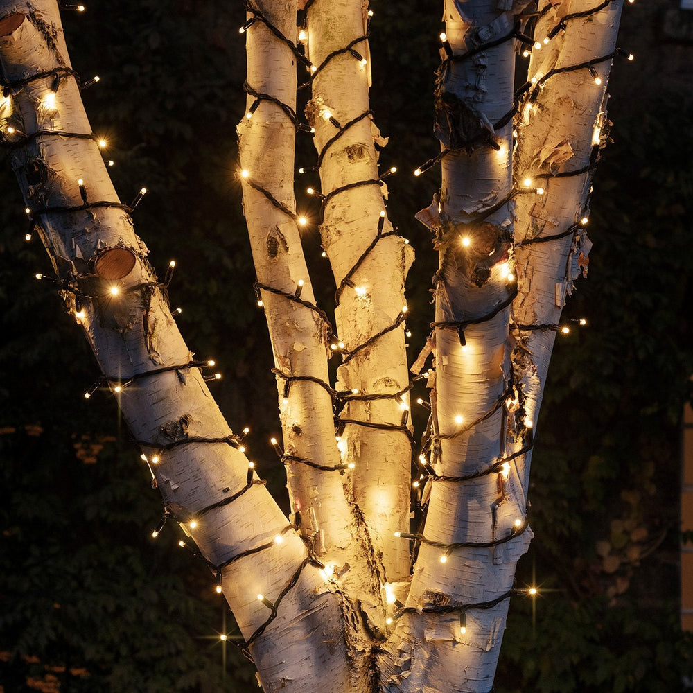 PR50CYWB_Warm-White-Christmas-Tree-Lights-Outdoor-Close_1aec7f40-c4da-4b42-b61a-e8b5d97c50e6.jpg