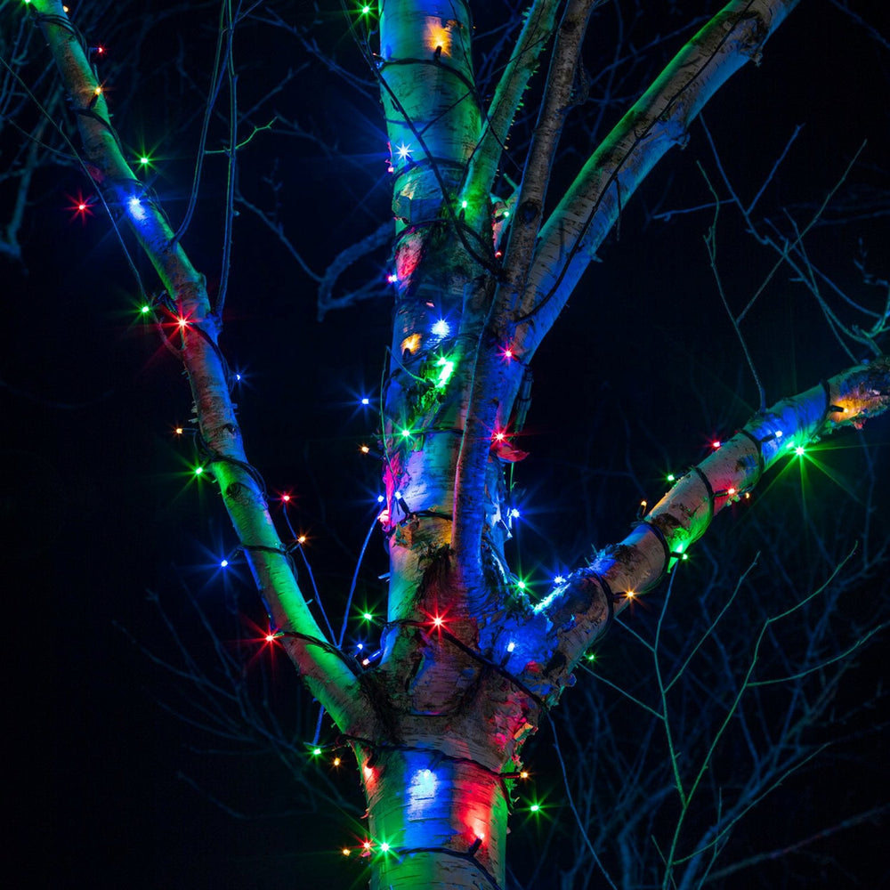 PR50MB_Multi-coloured-LED-Christmas-Lights-Tree-Close.jpg