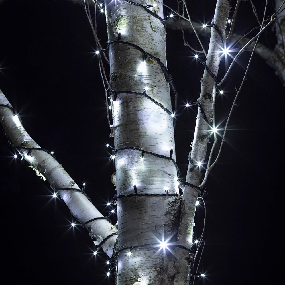 PR50WB_White-String-Lights-Black-Cable-LED-Outdoor-Garden-Tree-Close_0105fcd7-ea67-4e82-b075-232e9bf7c21c.jpg