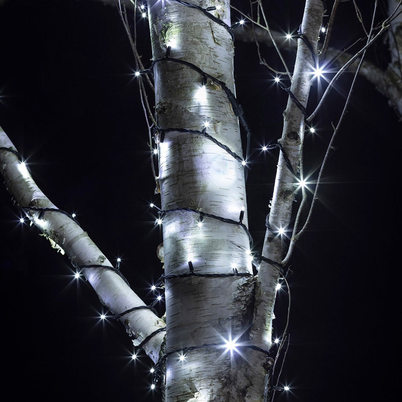 PR50WB_White-String-Lights-Black-Cable-LED-Outdoor-Garden-Tree-Close_26e0d128-c5b8-493e-8508-dca80970658d.jpg