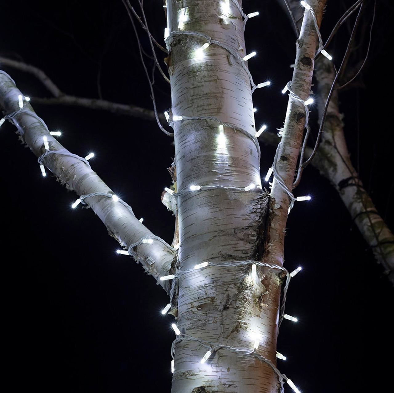 PR50WW_White-LED-Outdoor-Christmas-Lights-String-Lights-Tree-Close_0a5032bb-a873-43a2-b6f0-e5f4d8eebd4e.jpg