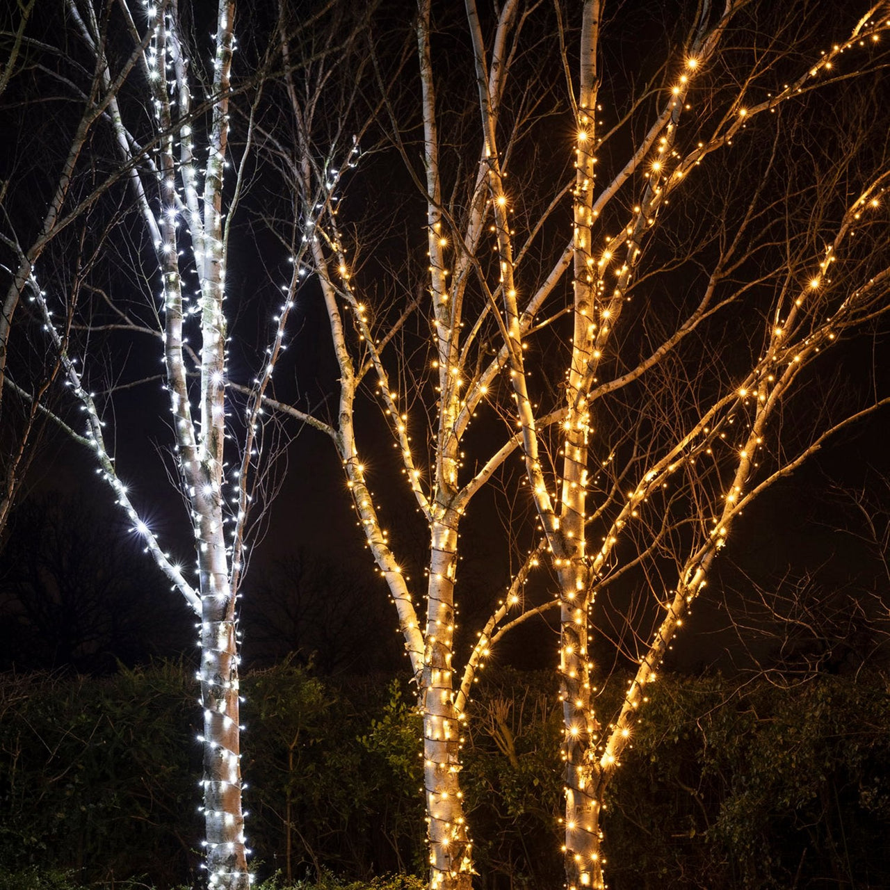 PR50WW_White-LED-Outdoor-Christmas-Lights-String-Lights-Tree-Group_232667b9-3544-4956-95b8-724e93bb9d7f.jpg