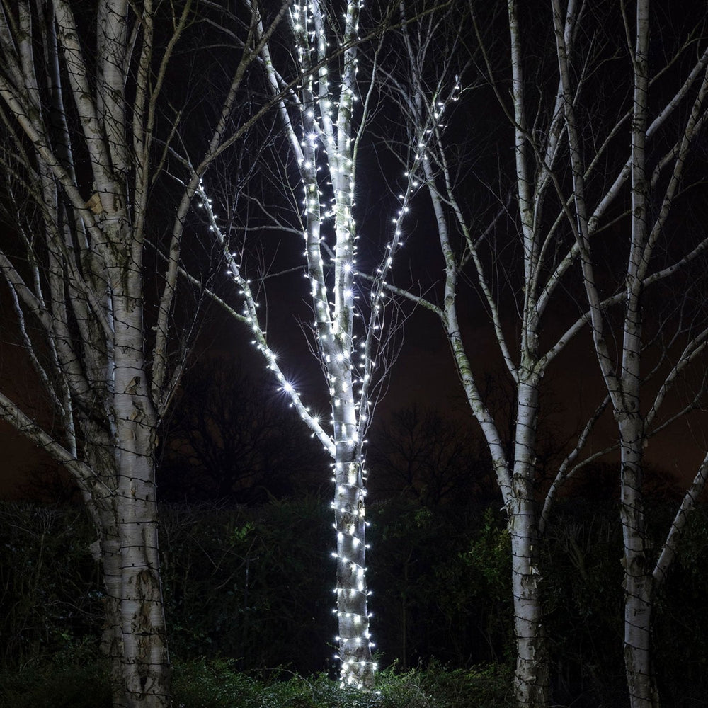 PR50WW_White-LED-Outdoor-Christmas-Lights-String-Lights-Tree_15d2ba7b-2cd5-4b64-847a-a1f4ca67e0a6.jpg