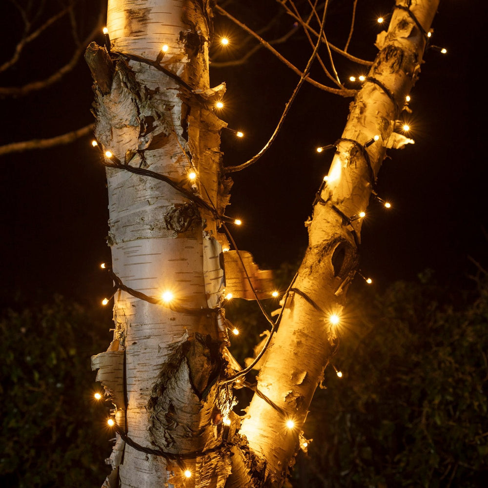 PR50YWB_Warm-White-Christmas-Tree-Lights-Outdoor-Close_0382a351-910b-410d-9685-9c2ffeb26c36.jpg