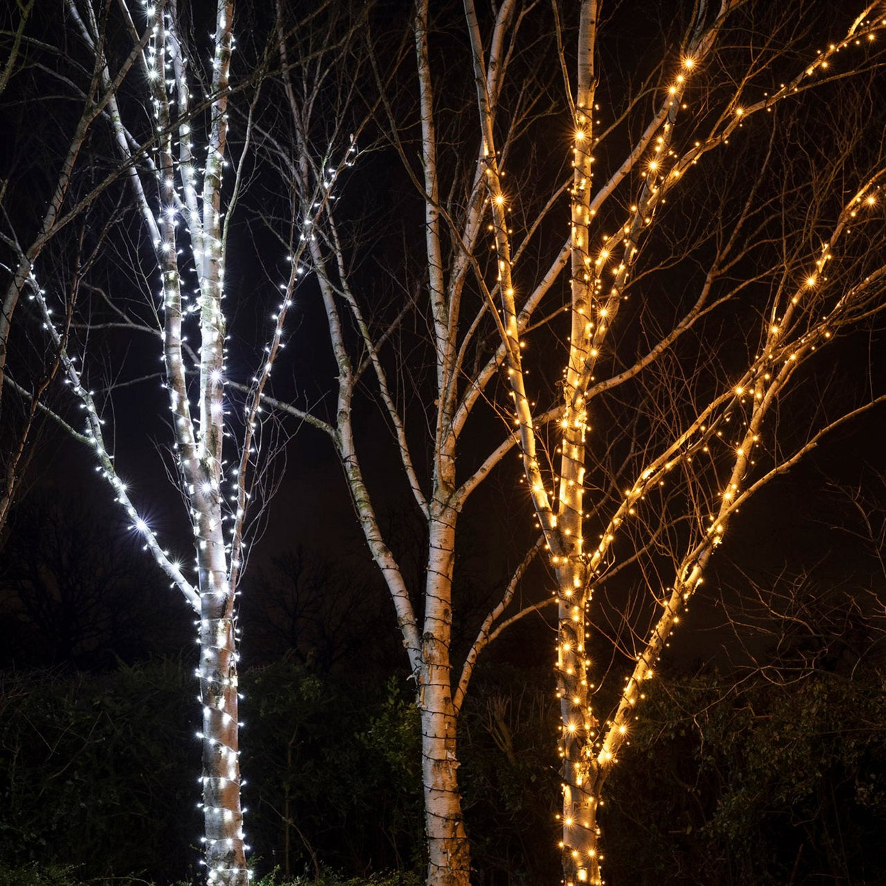 PR50YWB_Warm-White-Christmas-Tree-Lights-Outdoor_1ef5754c-0de1-44df-8045-d02d4b7aa569.jpg