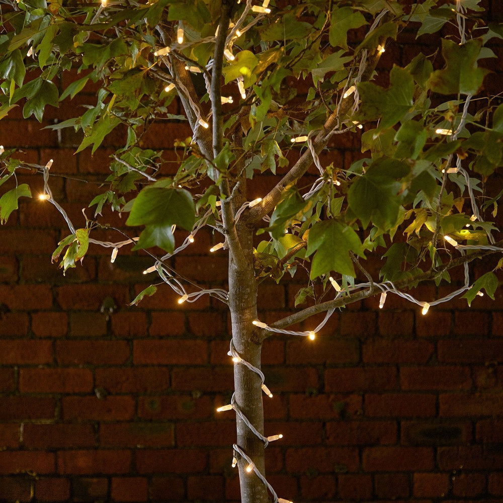 PR50YWW_50-WARM-WHITE-LED-STRING-LIGHT-TREE-PRO_P2_2000x2000_23907517-7fb1-4cd1-8338-01d9e907f0b7.jpg