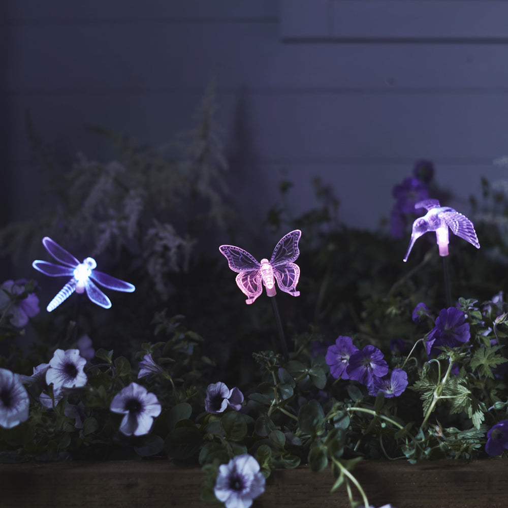 SL16002_set-of-3-solar-stake-lights-butterfly-dragonfly-bird-group-Close_P1.jpg