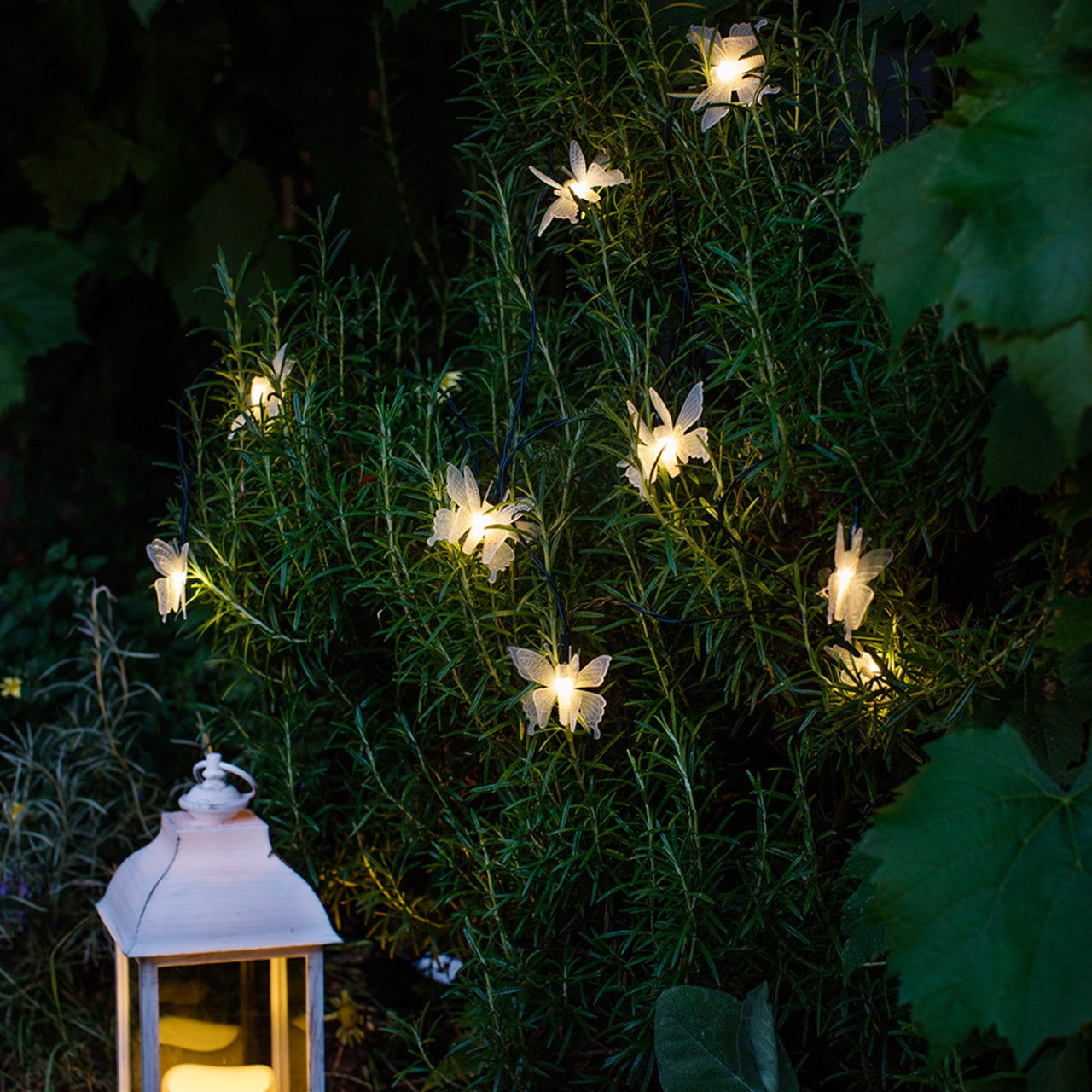 SL18001_solar-butterfly-fairy-lights-rosemary-lantern_P2.jpg