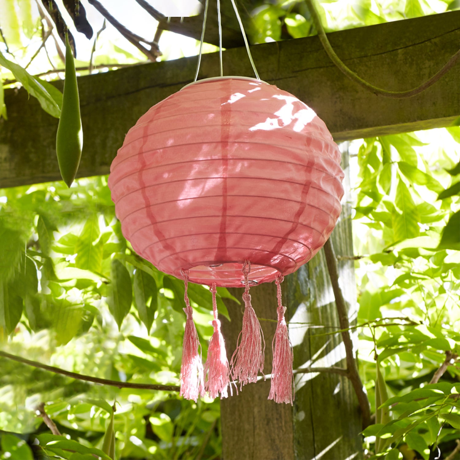 Pink shop garden lantern