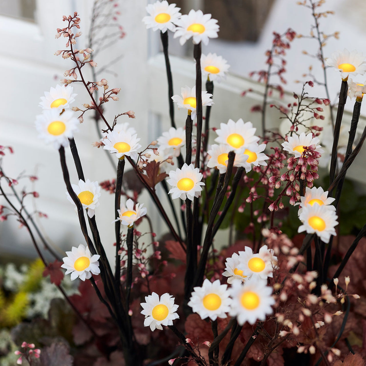 SL20022_solar-daisy-stake-light-outdoor-flowerbed-p1.jpg