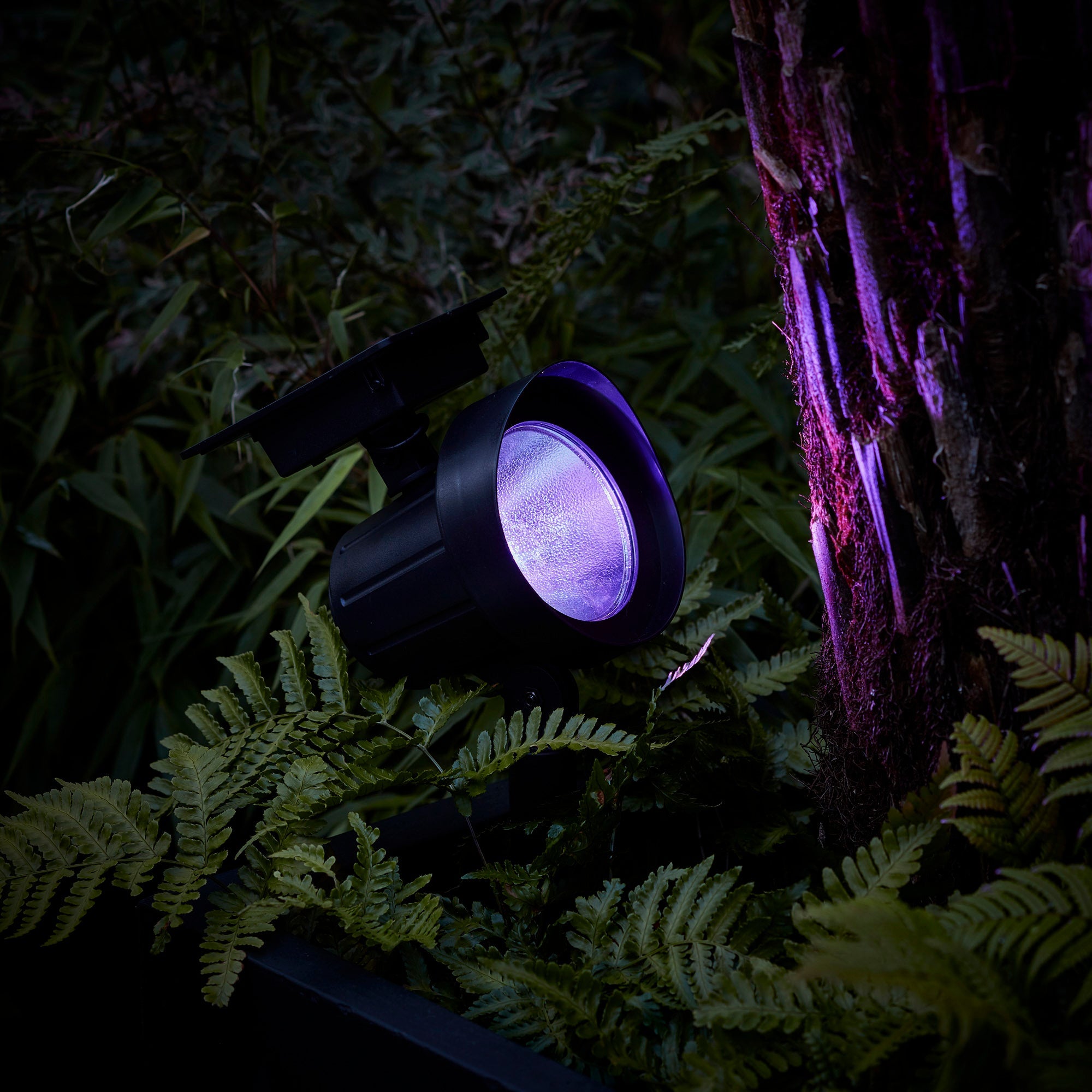 Purple outdoor online spotlights