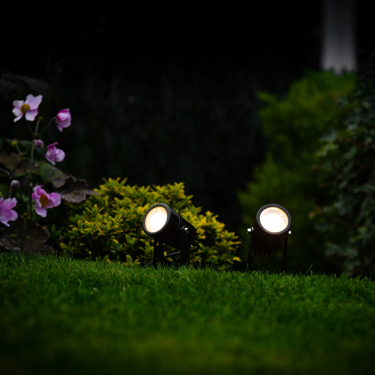 SS9998_atlas-spotlights-garden.jpg