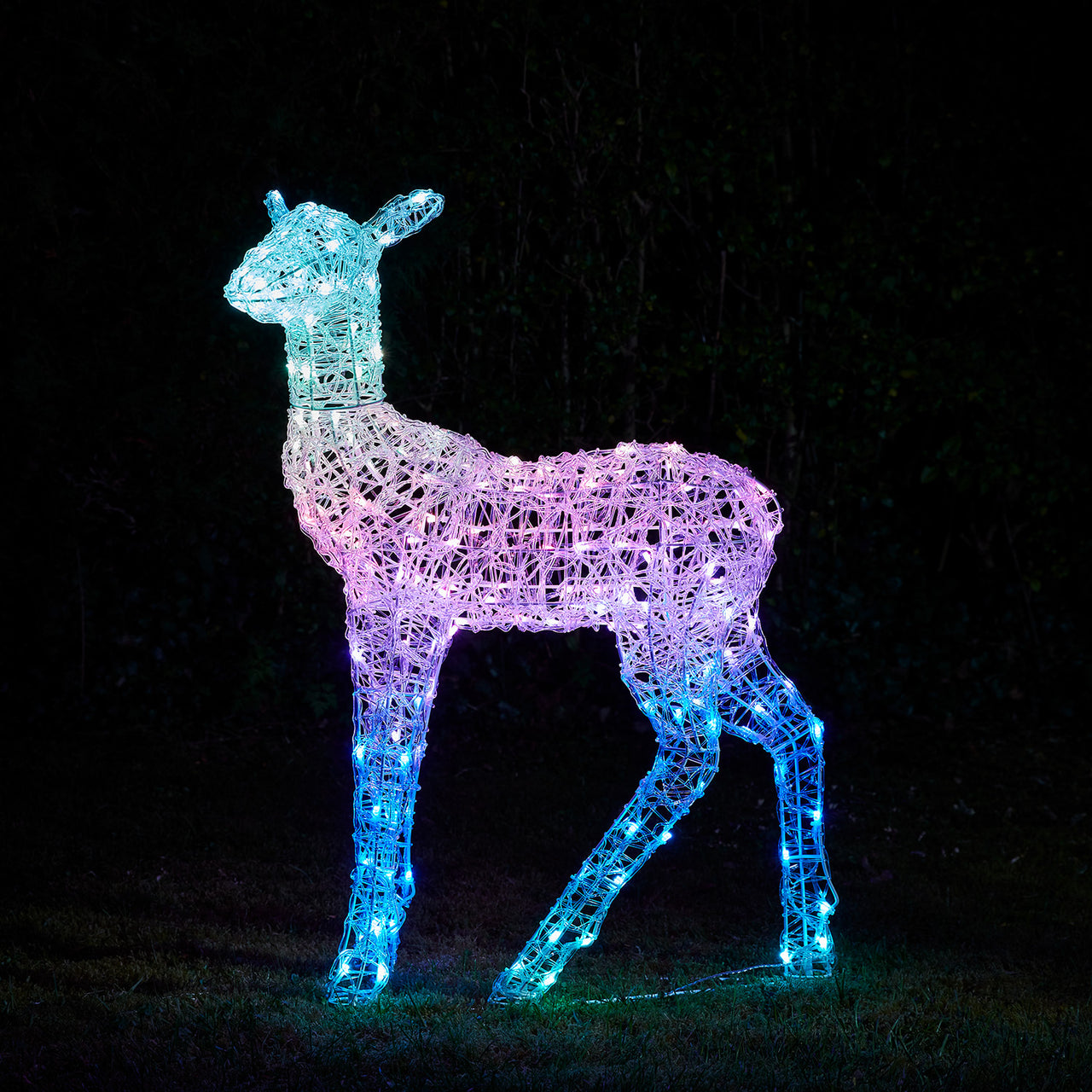 Twinkly Doe Smart Light Up Reindeer