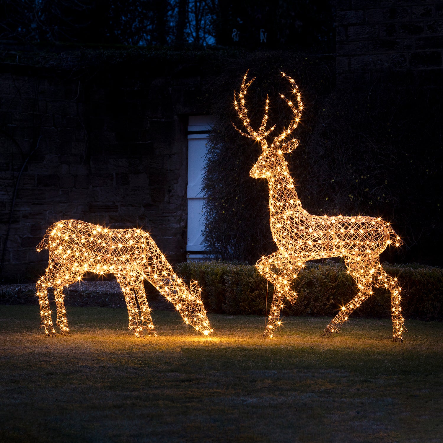 Large Studley Rattan Stag & Doe Light Up Reindeer 24v – Lights4fun 