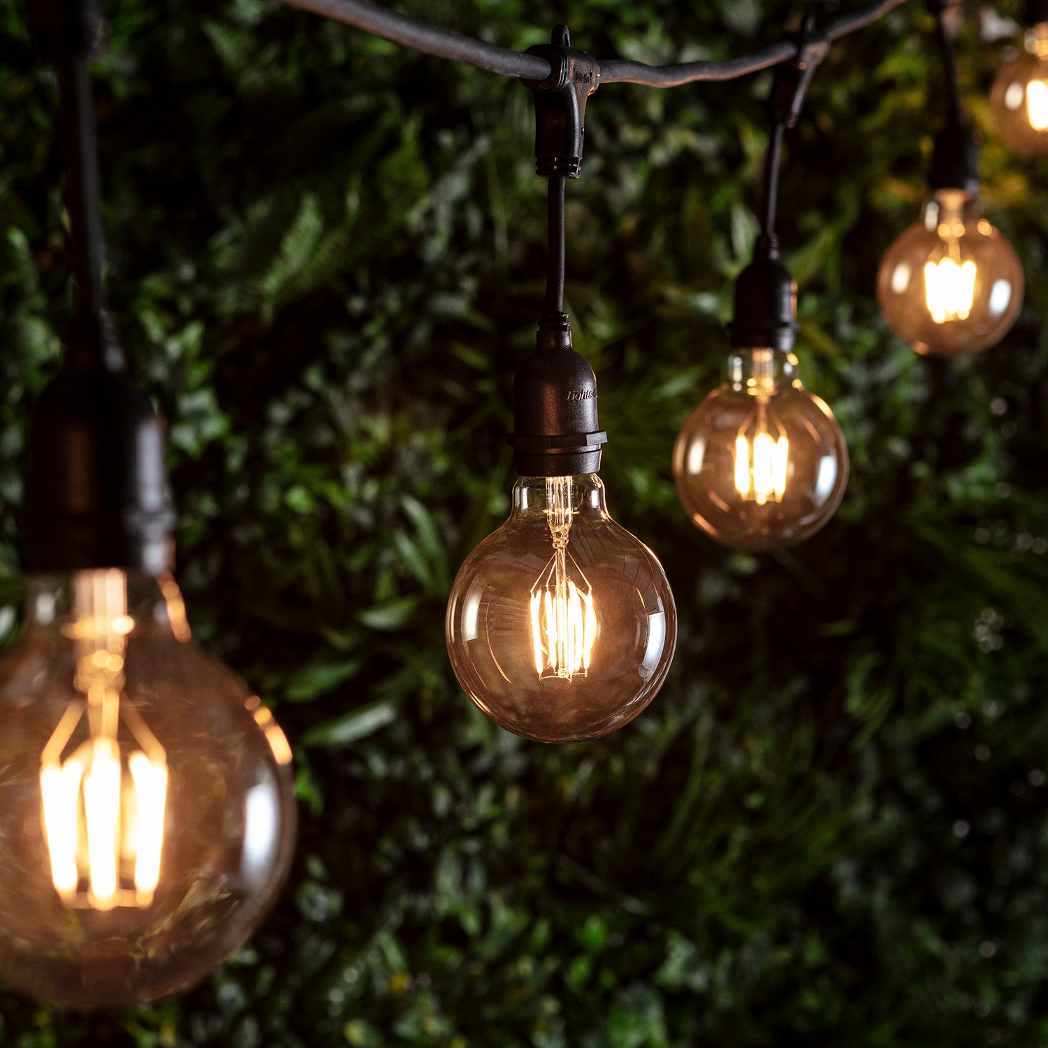 Big filament deals light bulbs