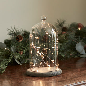 20.5cm Glass Dome Bell Jar Micro Fairy Light Bundle