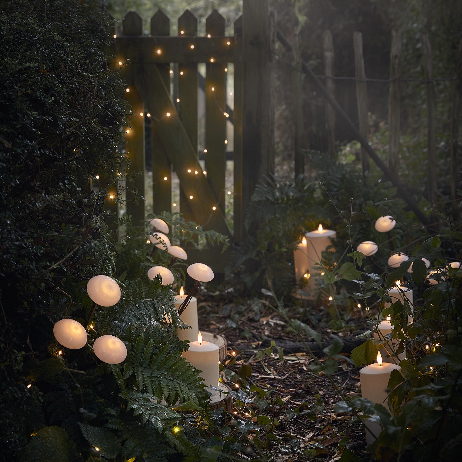 Toadstool deals garden lights