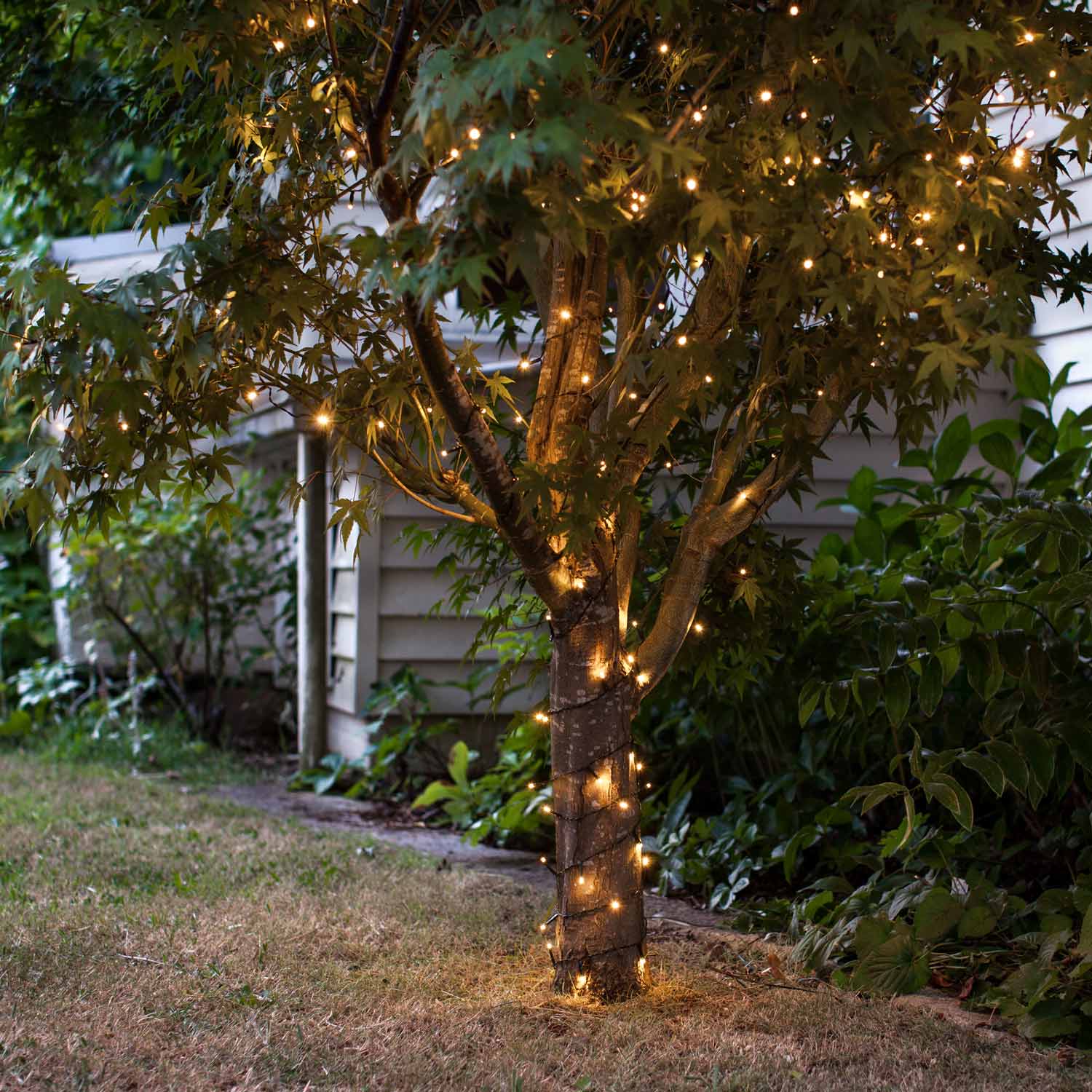 Solar lights to wrap deals around tree trunk