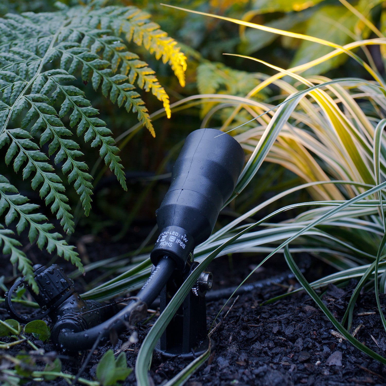 Large outdoor clearance spotlights