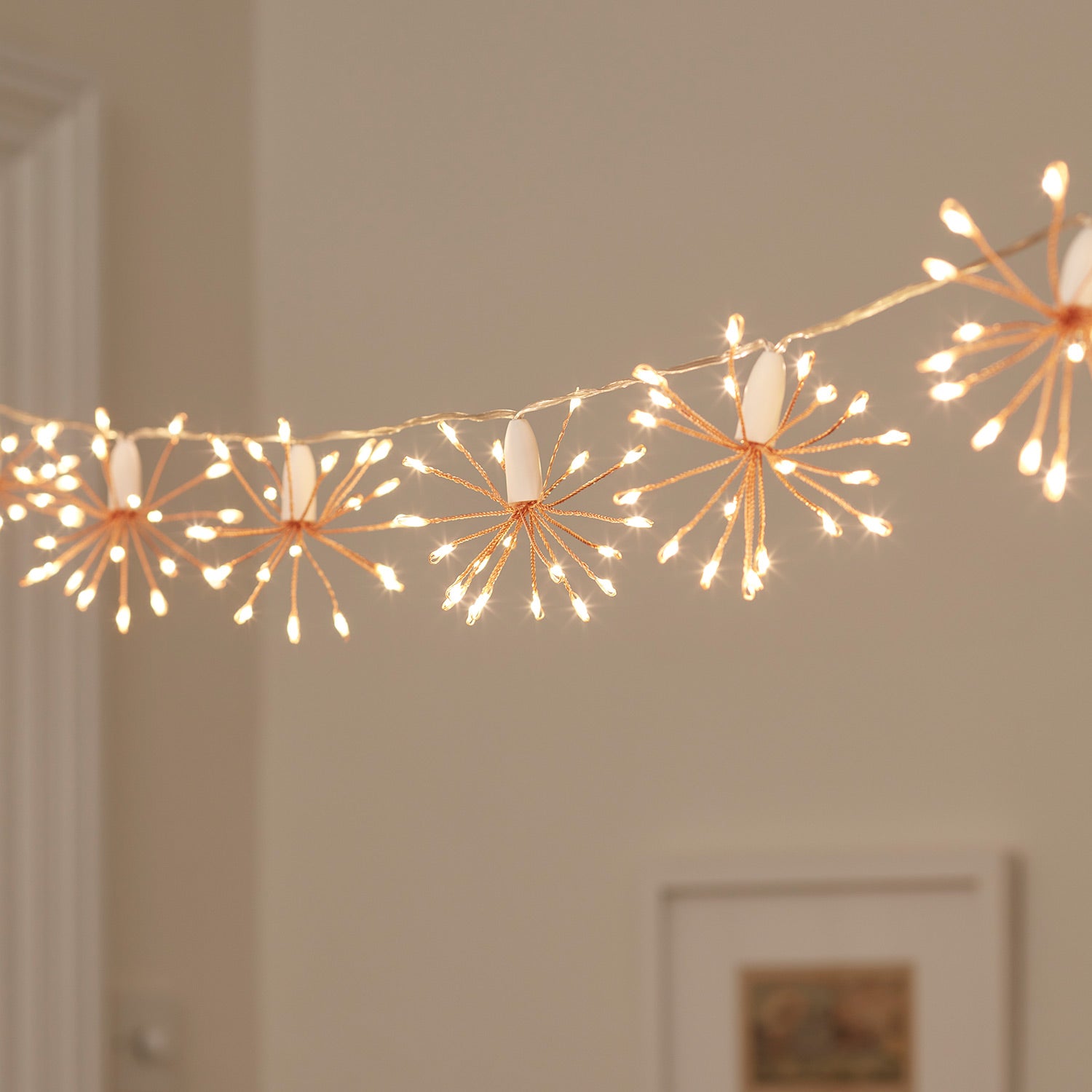 Mains powered deals rose fairy lights