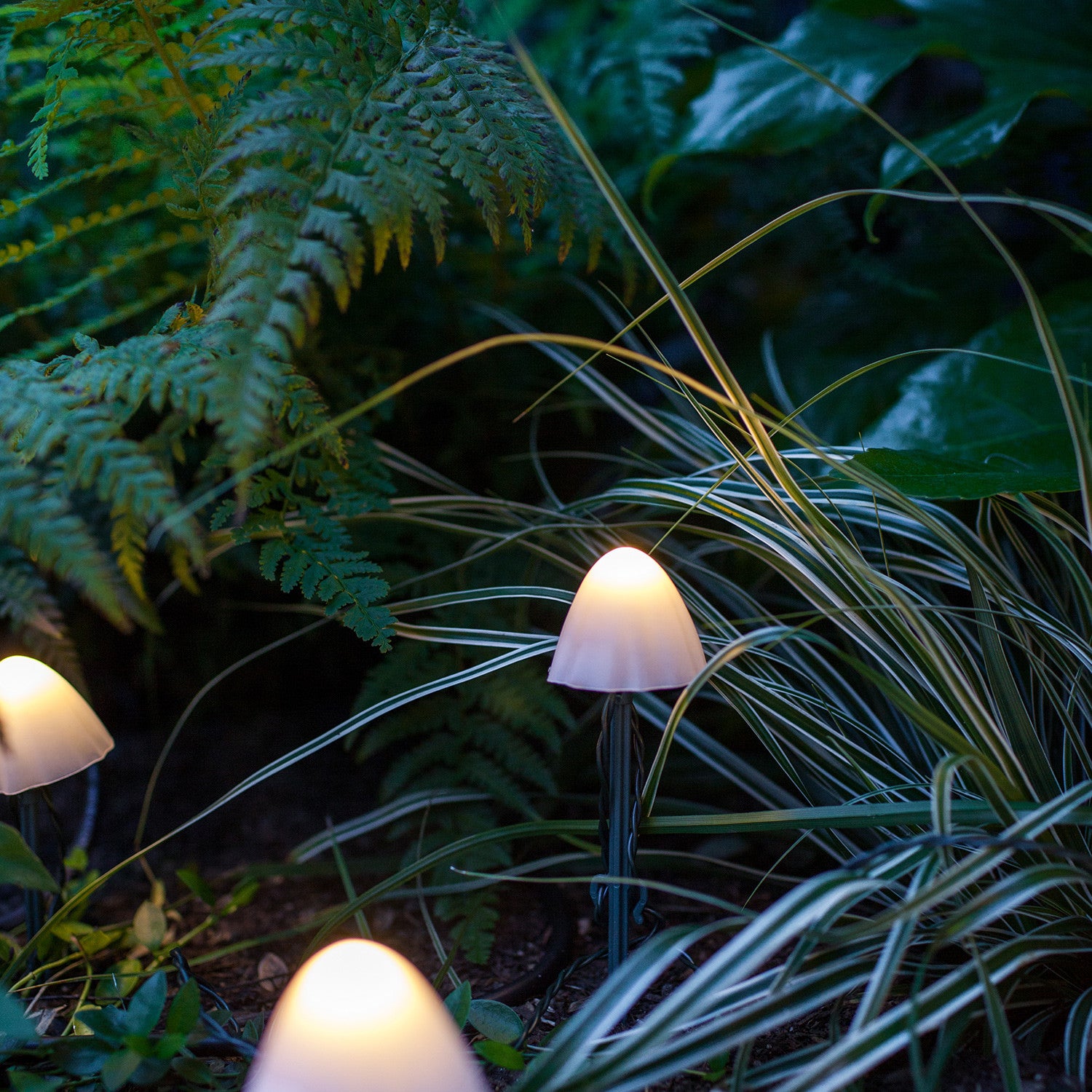 Solar mushroom clearance landscape lights