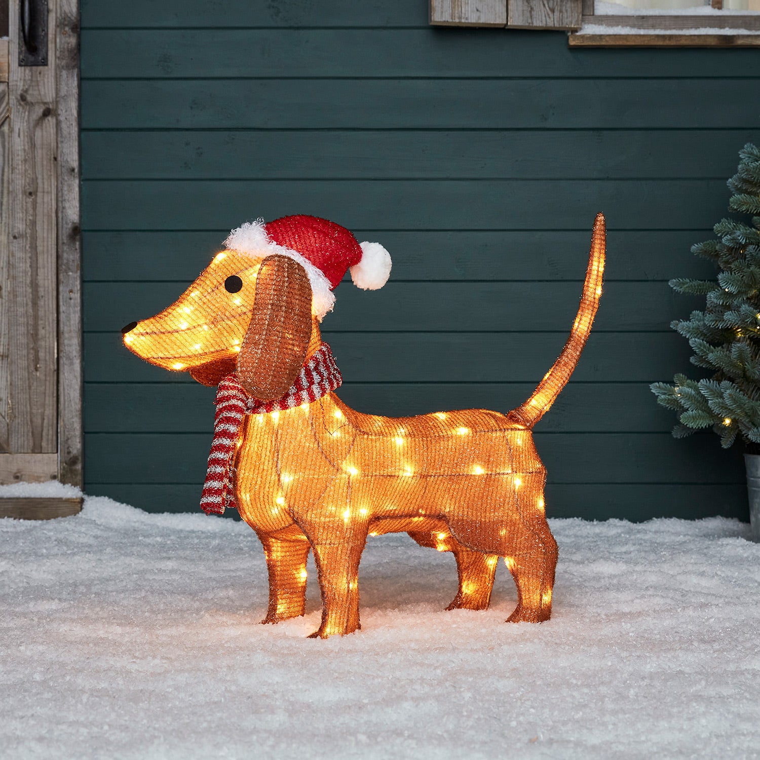 Outdoor 2024 christmas dog